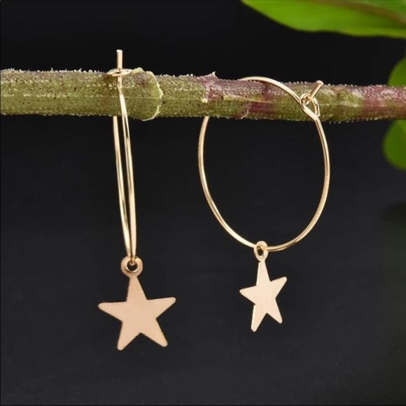 Earrings Silver Dangling Star on Hoops - Picture 3 of 7